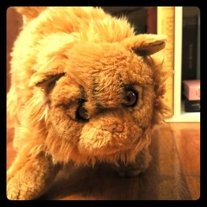 A Stuffed Crookshanks from Harry Potter